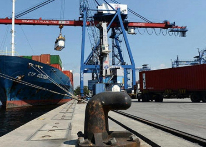 Pencemaran Radioaktif di Pabrik Udang Serang Picu Penarikan Ekspor di AS