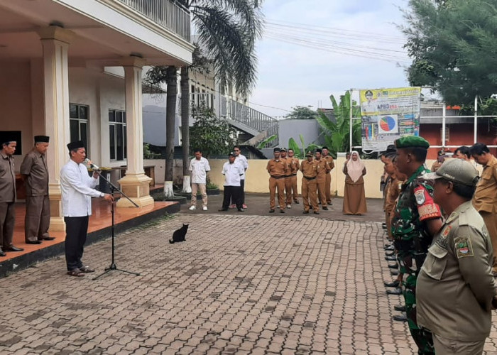 Alhamdulillah, Pilkada di Desa Serang Cikarang Selatan Berlangsung Aman