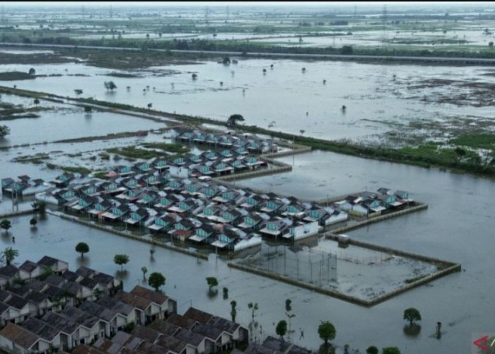 Ribuan Hektare Sawah di Bekasi Terdampak Banjir