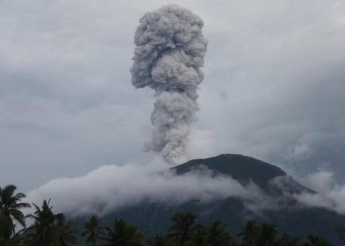 Gunung Ibu di Maluku Utara Kembali Erupsi, Inilah Tips Menyelamatkan Diri Jika Kamu Terkena Bencana Ini