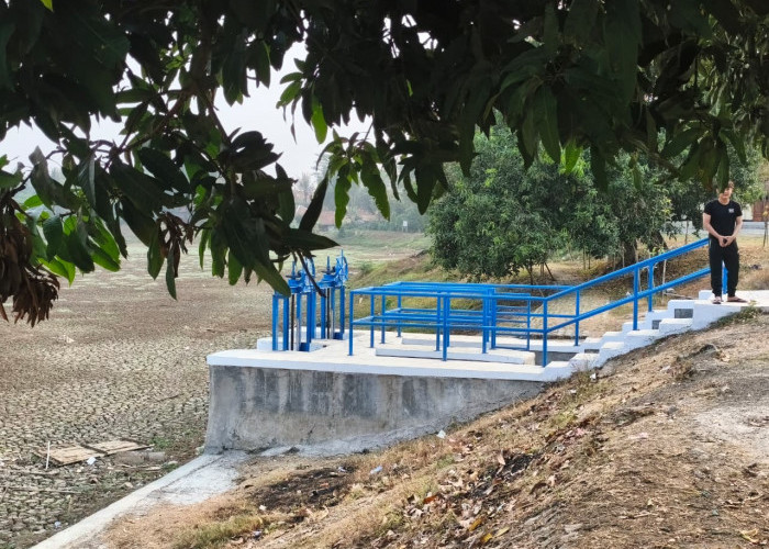 Situ Rawa Bedeng di Bojongmangu Mengering, Petani Gigit Jari