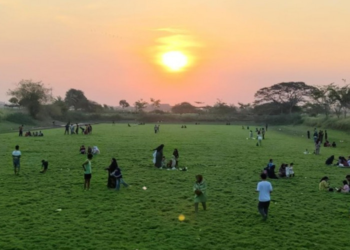 Embung Wanakaya Cirebon Mengering, Hamparan Rumput Hijau Justru Ramai Dikunjungi Warga