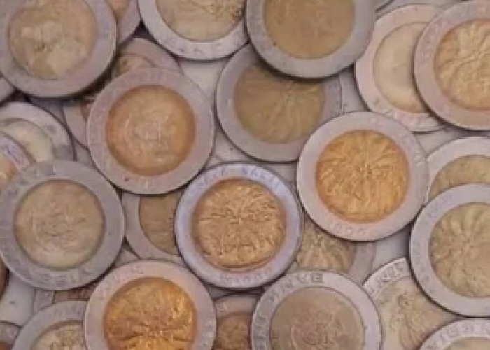 Uang Koin Rp1000 Gambar Kelapa Sawit Berlapis Emas, Ini Penjelasanya