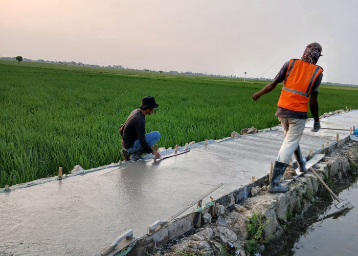 Permudah Warga Angkut Hasil Produksi, DPKP Karawang Bangun Jalan Usaha Tani, Ini Daftar 29 Titik Proyeknya