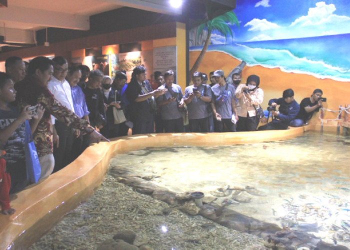 Aquarium Indonesia Pangandaran Wisata Edukasi Alternatif, Tarif Masuk Terjangkau