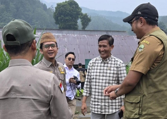 Pandangan Politik Budiwanto: Peta Jalan Pilkada Serentak di Era Reformasi