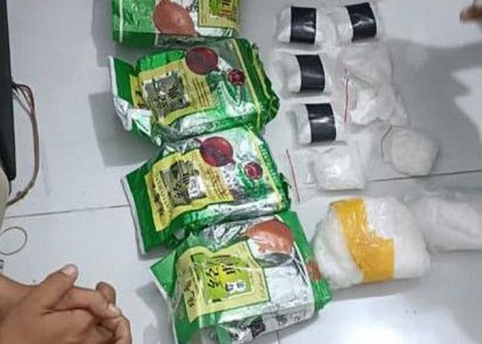 Kades di Lampung Ditangkap Terkait Kepemilikan Narkoba Seberat 6 Kilogram