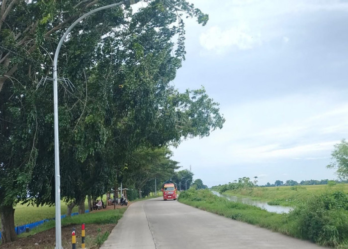 Nikmati Sensasi Jalan Lurus Paling Panjang di Karawang : Jalan Layapan dengan Keindahan Sawah dan Irigasi