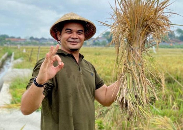 Harga Rp 6500 Perkilo,;Bulog Karawang Serap 14.041 Ton Gabah Petani Terdampak Banjir 