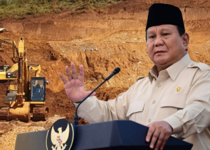 Pemerintah Tegas Berantas Eksploitasi SDA Ilegal, 3,1 Juta Hektar Lahan Disita