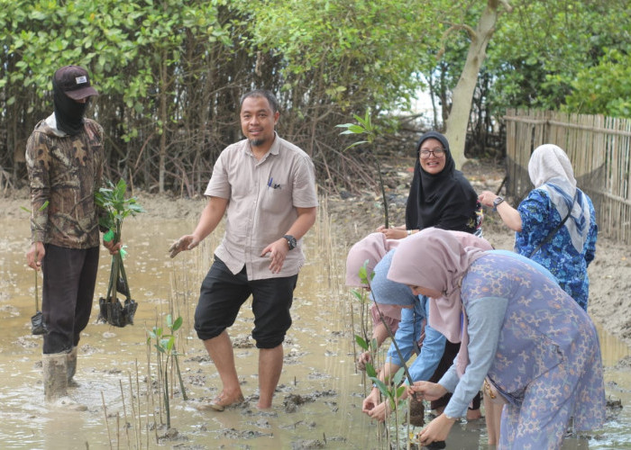 Dosen dan Mahasiswa Fakultas Psikologi UBP  Ikut Lestarikan Hutan Mangrove di Karawang