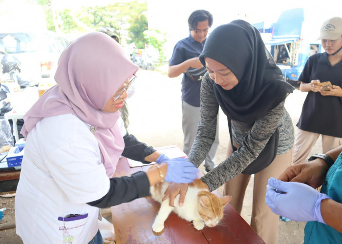 Puncak HUT Karawang: Distan Sediakan 391 Dosis Vaksin Rabies Secara Gratis