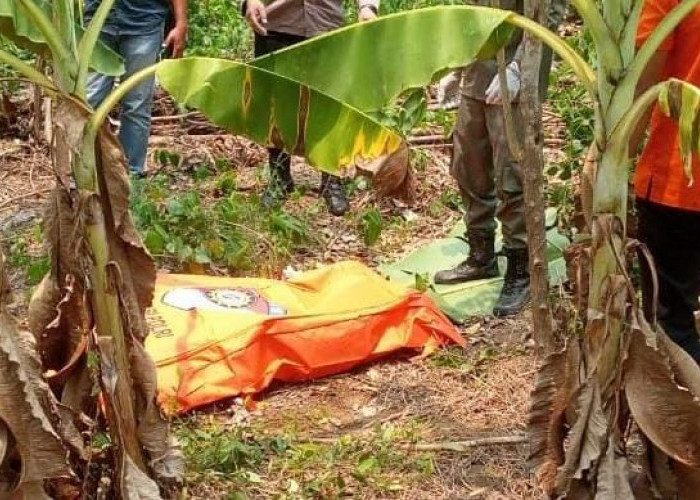 GEGER, Pegawai RSUD Karawang Ditemukan Membusuk di Kebun Pisang Ciampel