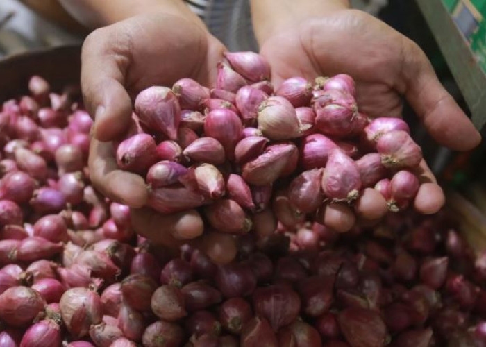 Harga Bawang Merah Terus Melejit, Di Pasar Tradisional Cikarang Tembus Rp 60.000 Per Kg