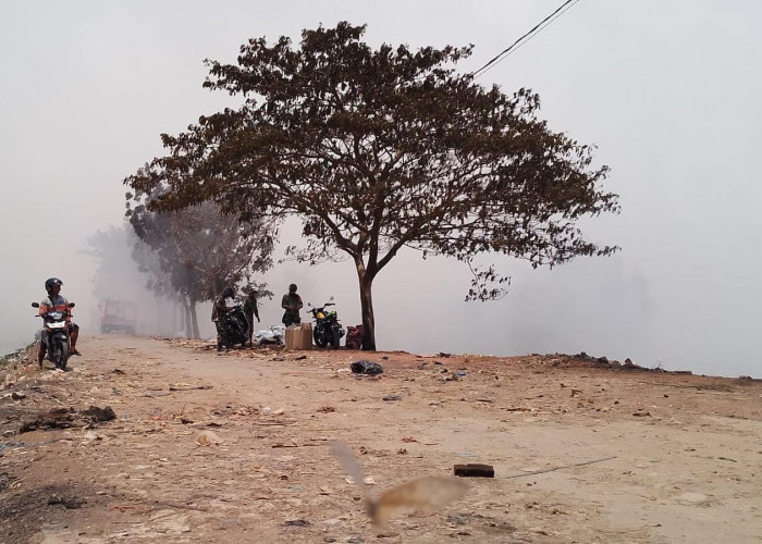 Kebakaran Hebat di TPA Jalupang, 4 Desa di Kotabaru Terdampak, Beberapa Warga Ada yang Sesak Nafas