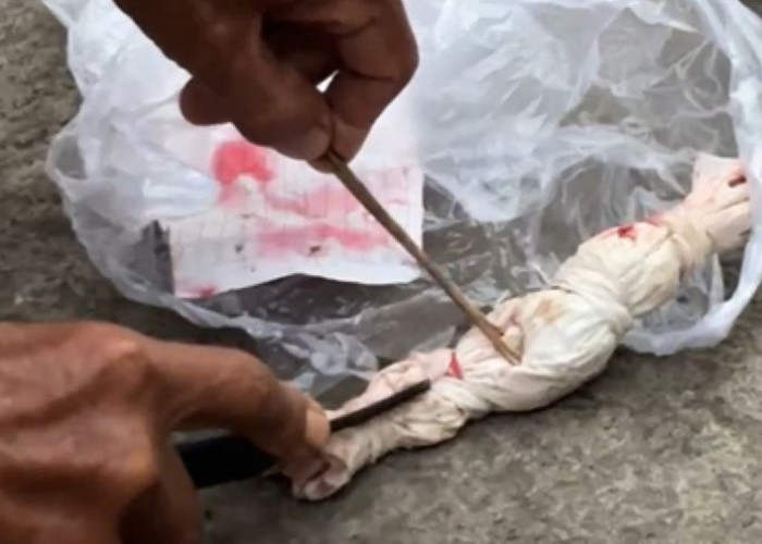 Jelang Pilkades Bekasi, Bungkusan Mirip Pocong Gegerkan Warga Karangpatri, Pebayuran 