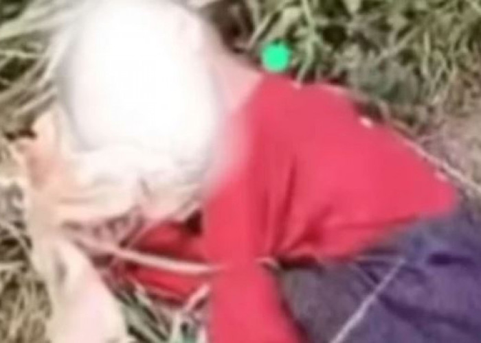 Geger! Anak 3 Tahun Diduga Dibuang Orang Tuanya di Semak-semak, Netizen: Ortua Bak Binatang