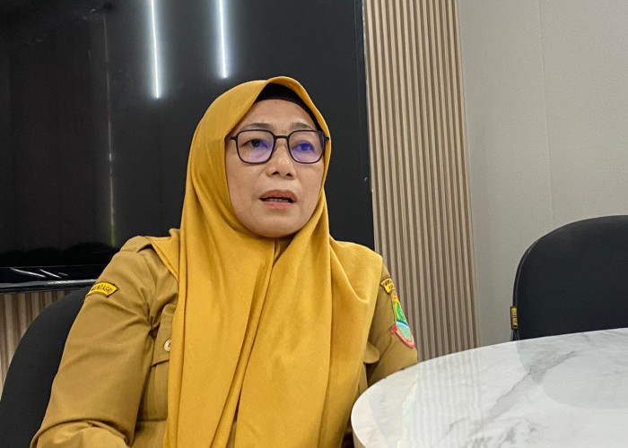 Job Fair Online Karawang Diminati 149 Ribu Pencaker, Disnakertrans Terus Optimalisasi Tenaga Kerja Lokal