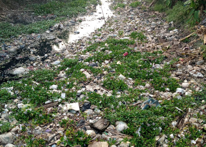 Tumpukan Sampah Mengular di Irigasi Srengseng Hilir, Ratusan Hektar Sawah Mulai Kekeringan di Utara Bekasi