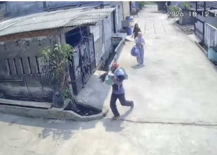 Monyet Ganas Buron, Warga Panik Berhamburan Selamatkan Korban Luka