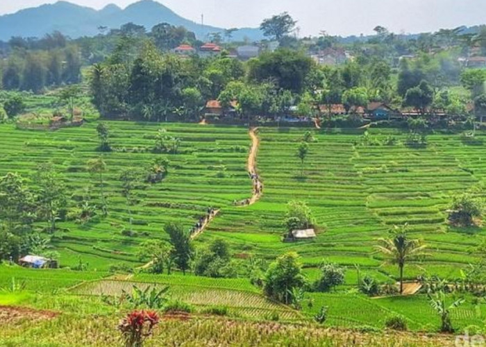 Program Desa Wisata di Jawa Barat Terus Digenjot