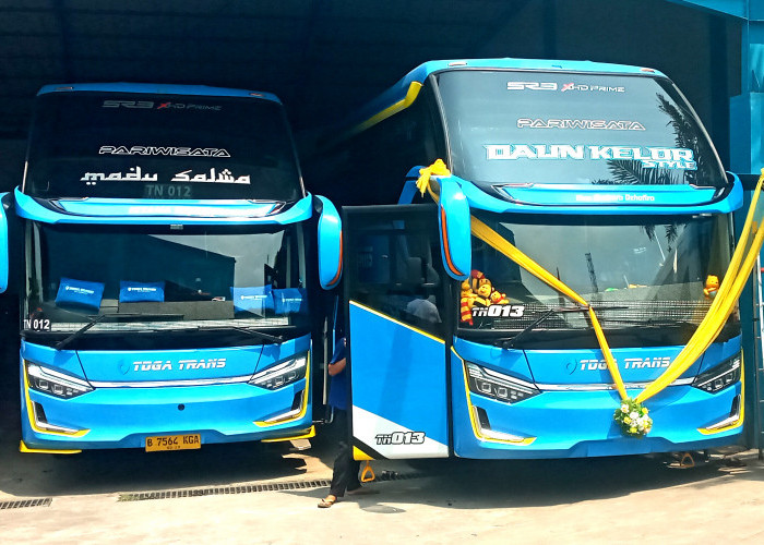 PERTAMA DI BEKASI... Toga Trans Launching 2 Big Bus Spesial Daun Kelor,  Siap Manjakan Perjalanan Anda 