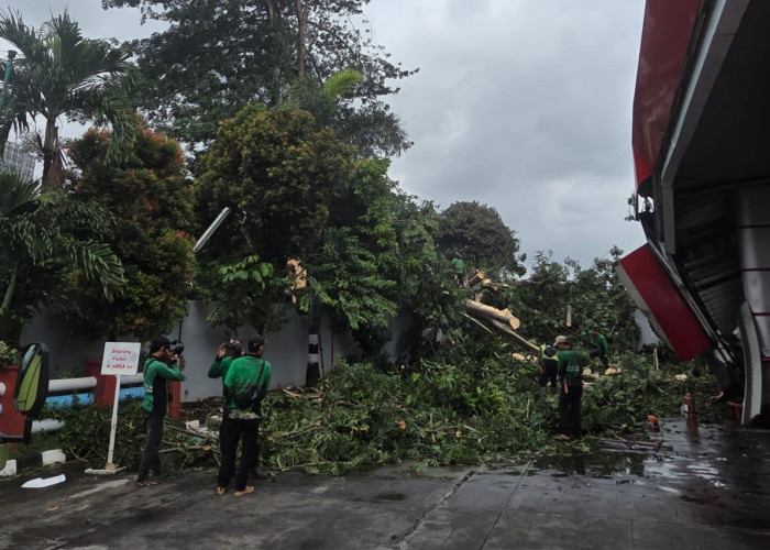 Pertamina Patra Niaga RJBB Cepat Tangani Insiden Pohon Tumbang Menimpa Sarfas SPBU 34.104.02 Jakarta Pusat