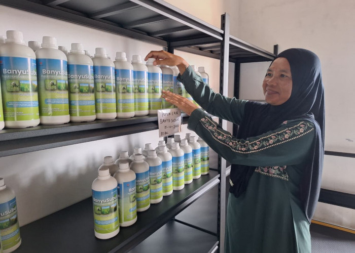 Dari Tumpukan Cangkang Rajungan Menuju Harapan Baru