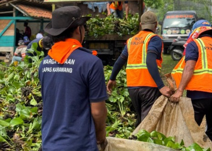 9 Warga Binaan Asimilasi Lapas Karawang Bersihkan Eceng Gondok di Anggadita