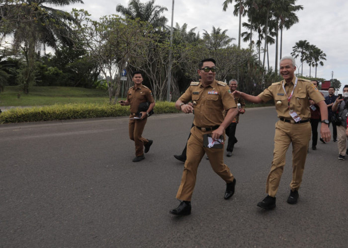 Presiden Jokowi Ingatkan Kepala Daerah soal 