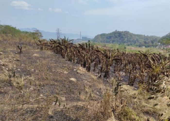 Kebakaran Hutan di Gunung Jayanti Sukabumi Satu Titik Sudah Padam