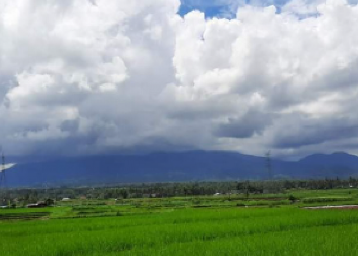 Jenis Awan TipeTerbang Berukuran Rendah, Ada Stratus Sampai Stratocumulus