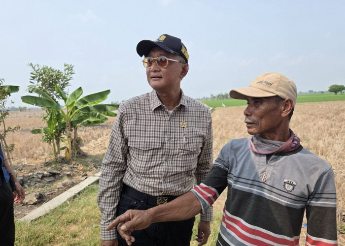 Sawah di Kabupaten Bekasi Kering 7 Bulan, Menteri PU Ngamuk hingga Ancam Copot Dirjen SDA dan BBWS Citarum