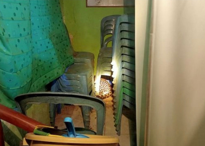 Macan Tutul Masuk Balai Desa di Kuningan, Dievakuasi Petugas