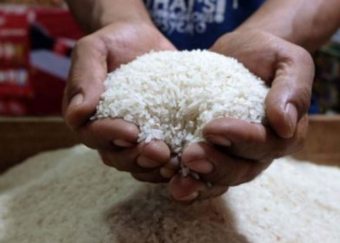 Harga Beras Premium Melambung Tinggi Hingga Rp18.000 Per Kilogram, Pemilik Warteg Kurangi Porsi Nasi