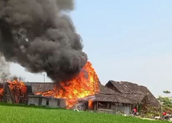 Si Jago Merah Mengamuk, Saung Kabogoh Dekat Pemda 2 Karawang Terbakar Hebat