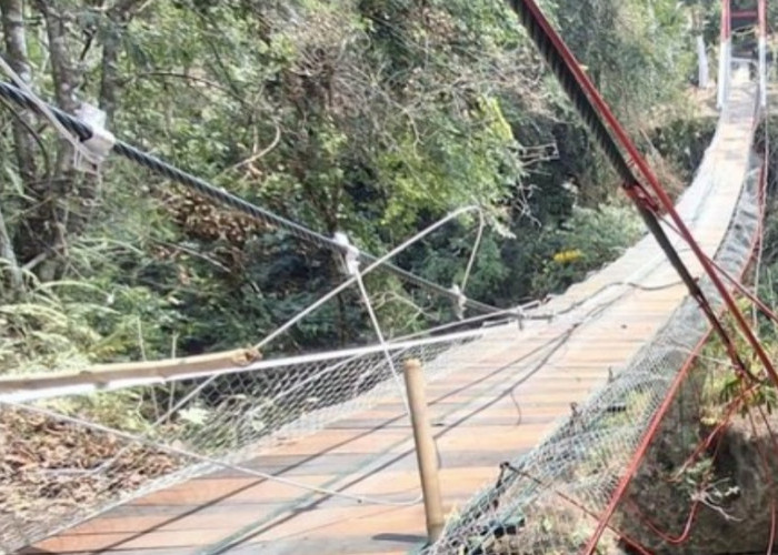 Jembatan Gantung Pongpet Putus Saat Peresmian, Warga Harap Dibangun Permanen