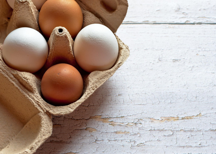 Hilang Beberapa Kg dalam Hitungan Hari dengan Diet Telur Rebus! Tapi Ini Risikonya