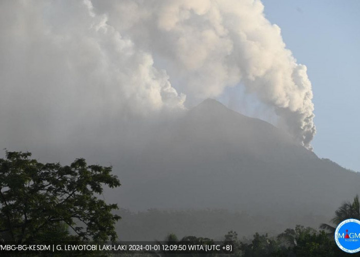 Status Gunungapi Lewotobi Laki-Laki Naik ke Level Siaga, Ribuan Warga di Evakuasi, Ini Penyebabnya