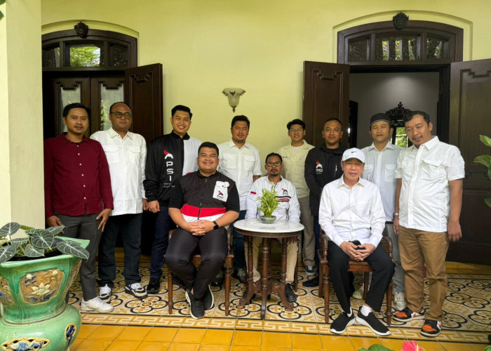 DPD PSI Karawang Temui Jokowi di Solo, Perkuat Struktur hingga Tingkat Desa