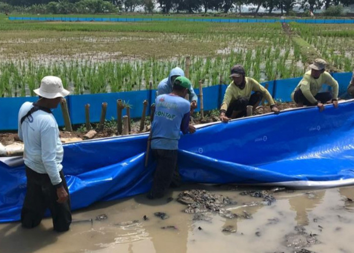 Alami Kerusakan Parah Sejak 3 Bulan Lalu, Petani Desa Lemahduhur Perbaiki Saluran Air Rembes Secara Swadaya