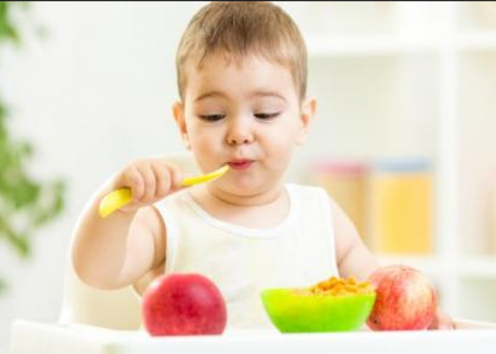 Ini Dia Tips an Trik Bagi Anak Yang Susah Makan Moms