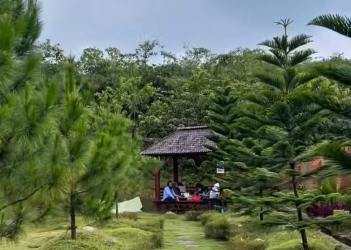 Bosan Dengan Suasana Panas Cikarang ? Kunjungi Wisata Kampoeng Kita Setu dengan Berkonsep Pedesaan Asri