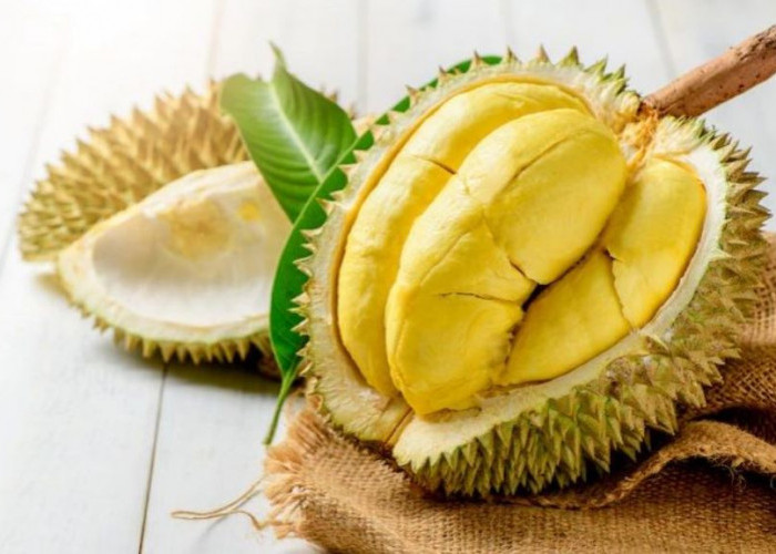 Simak! Ini Tips Mengatasi Mabuk Durian