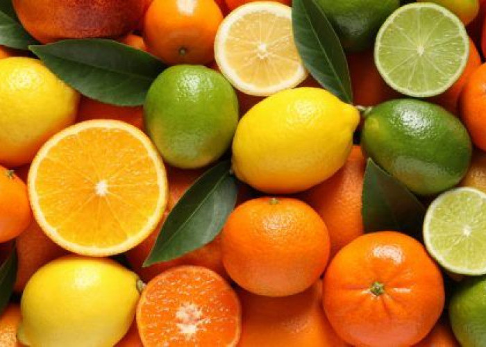 Ragam Jenis Jeruk Favorit Warga +62, Dari Jeruk Limau Sampai Jeruk Mandarin