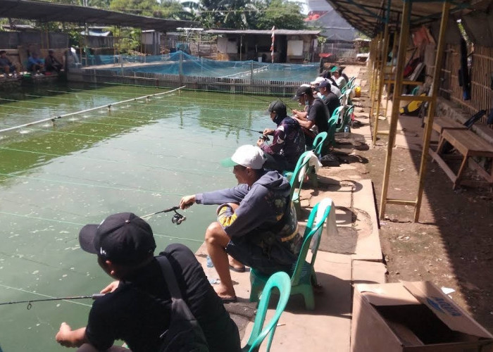 13 Tempat Mancing Dekat Jatimulya Tambun Selatan yang Wajib Dicoba, Ada yang Buka Sampai Tengah Malam!