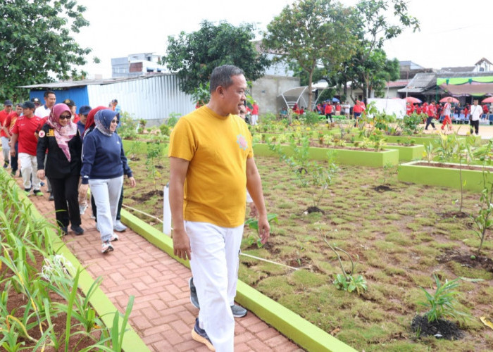 MINIMNYA RUANG TERBUKA HIJAU DINILAI BERDAMPAK PADA KUALITAS LINGKUNGAN KOTA