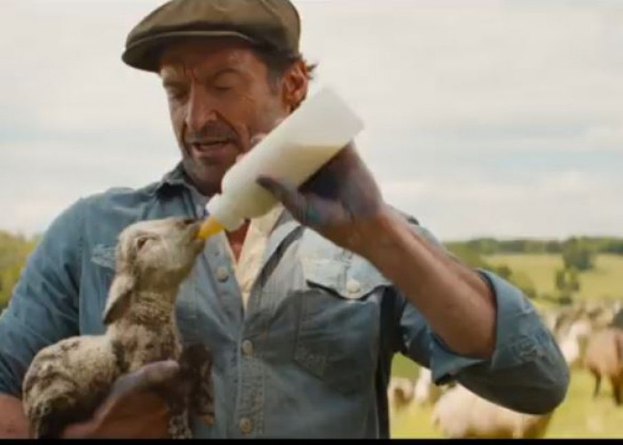 Daftar Film Bioskop Terbaru yang Rilis Februari 2026: Ada Horor Lokal dan Box Office Hollywood!