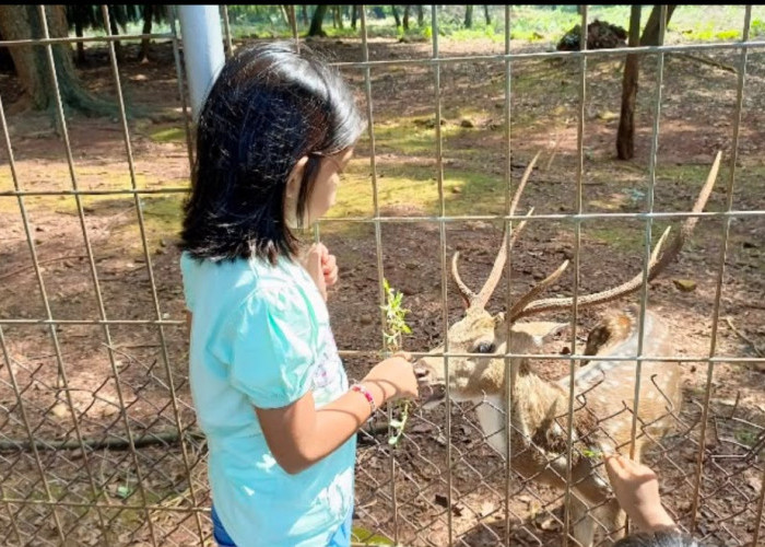Cari Wisata Gratis di Cikampek? 5 Tempat Ini Bisa Jadi Pilihan untuk Isi Akhir Pekan