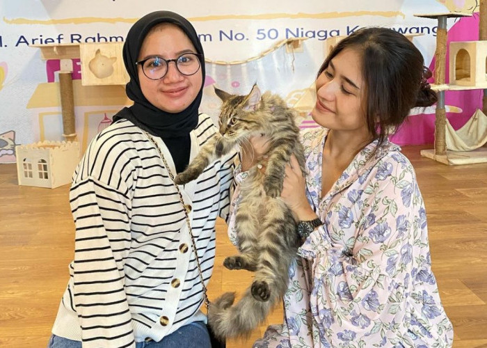 Meriahkan HUT RI Cat N Fun Karawang Hadirkan Promo Merdeka 17